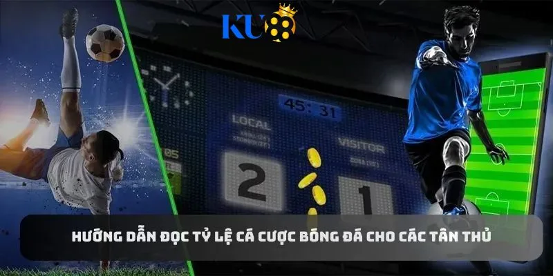 Hướng dẫn cách đọc tỷ lệ kèo cá cược bóng đá cho các tân thủ